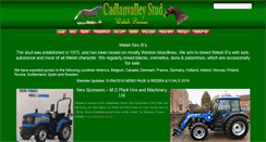 Desktop Screenshot of cadlanvalley.com
