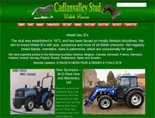 Tablet Screenshot of cadlanvalley.com